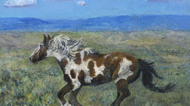 Sara_Divya_Wild-Horse-Running_5x7_3