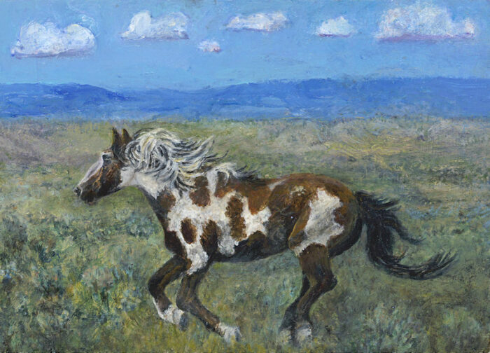 Sara_Divya_Wild-Horse-Running_5x7_3