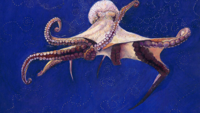 Sara_Divya_Wild-Octopus_18x24_3-1