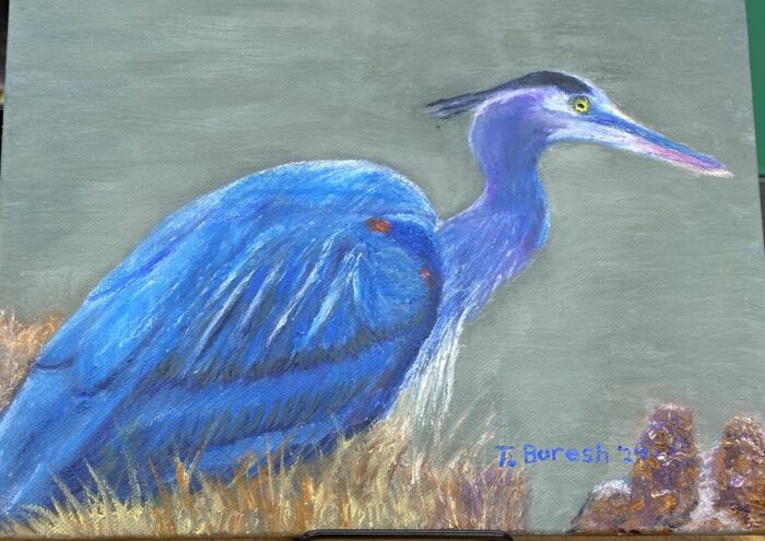 Trisha-Buresh-1.-Blue-Heron